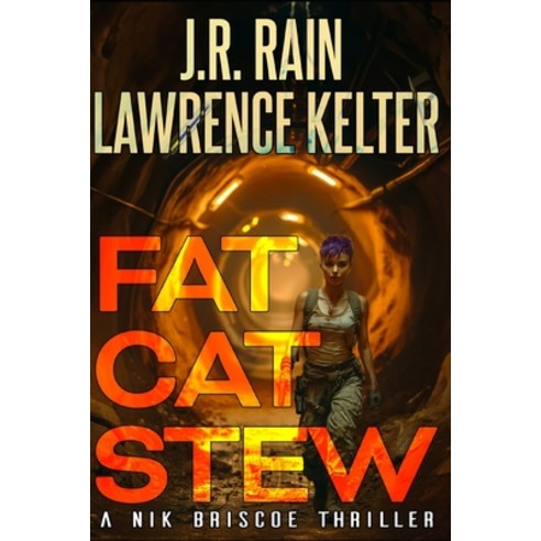 (영문도서) Fat Cat Stew: A Mystery Thriller Paperback, Independently Published, English, 9798326286499