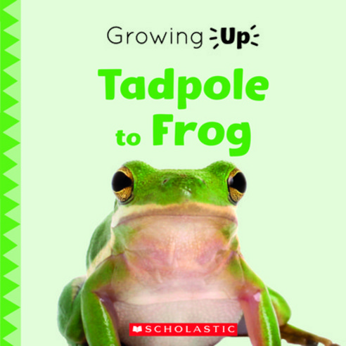 Tadpole to Frog (Growing Up) (Library Edition) Hardcover, C. Press/F. Watts Trade, English, 9780531136980