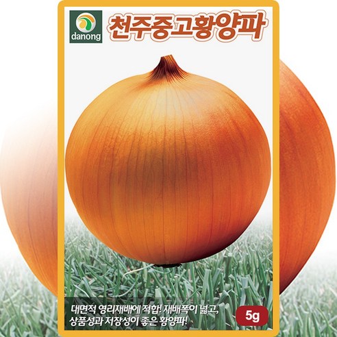 다농 천주중고황 양파 씨앗 5g(양파 씨 종자) 단품 다농 천주중고황 양파 씨앗 5g(양파 씨 종자) 단품