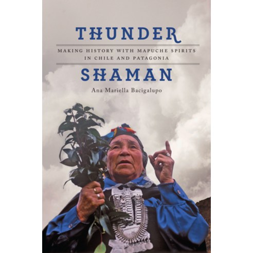 (영문도서) Thunder Shaman: Making History with Mapuche Spirits in Chile and Patagonia Paperback, University of Texas Press, English, 9781477308981