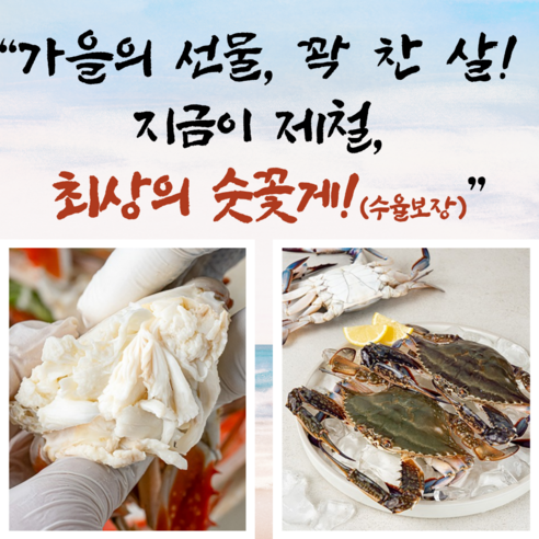 희움 제철9월~11월 할인특가 연평도 숫꽃게 (탕 찜용), 1개, 연평 빙장급냉 숫꽃게 1kg