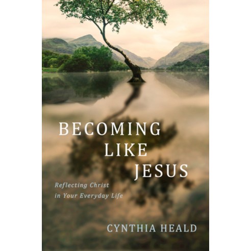 (영문도서) Becoming Like Jesus: Reflecting Christ in Your Everyday Life Paperback, NavPress Publishing Group, English, 9781641587594