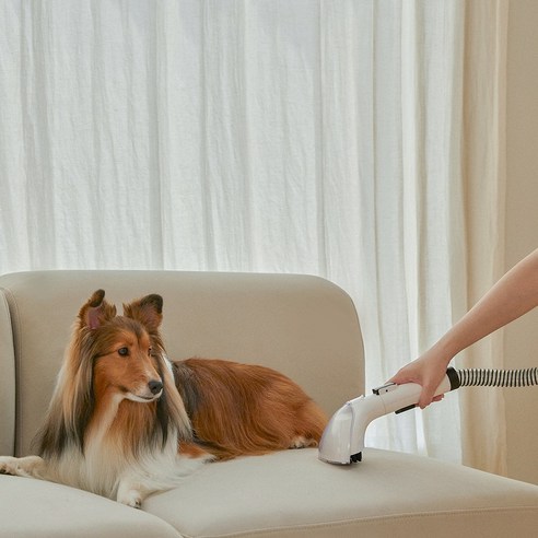 카페트와 러그 청소의 혁신