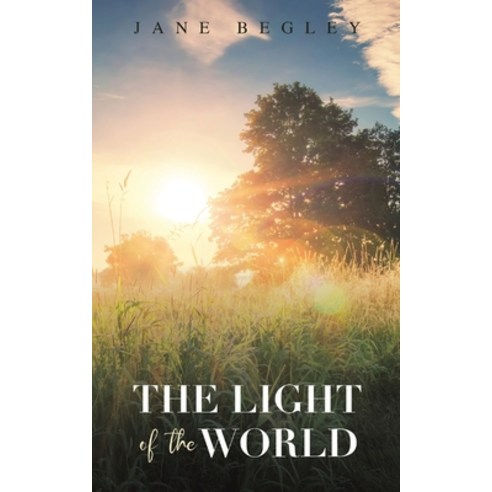 (영문도서) The Light of the World Paperback, Austin Macauley, English, 9781398480667