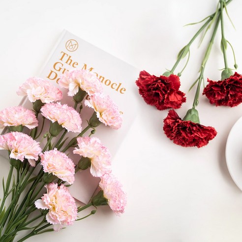 시들 걱정 없이 오래도록 아름다운 마음을 전하세요: 생화같은 카네이션 조화 후기 조화카네이션