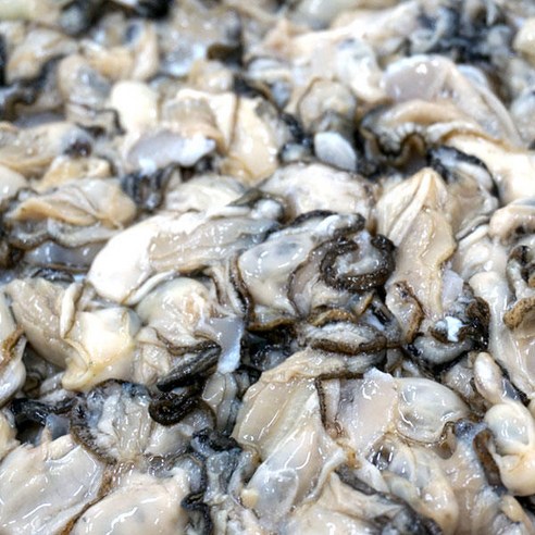 바다의 풍부한 맛과 건강을 담은 통영 생굴