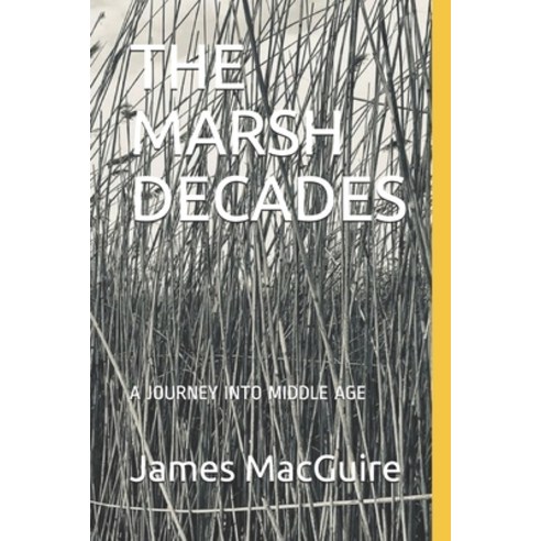 The Marsh Decades: A Journey Into Middle Age Paperback, Independently Published, English, 9798727249680