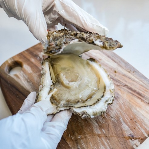 거친 바다의 숨결을 담은 자연산 바위굴로 특별한 미식 경험을 선사하세요.