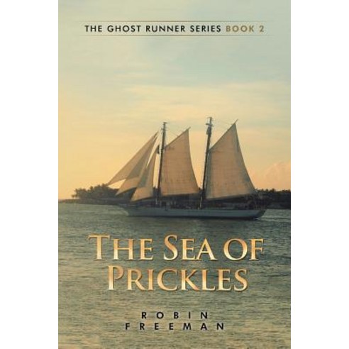 (영문도서) The Sea of Prickles: The Ghost Runner Series Book 2 Paperback, Xlibris Au, English, 9781543408188