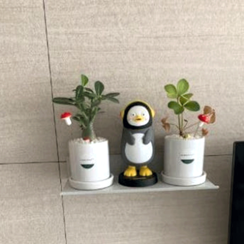 좁은 공간 답답함 해결 티라미슈 아트월 선반