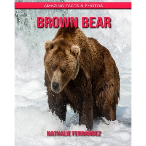 Brown Bear: Amazing Facts & Photos Paperback, Independently Published