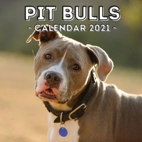 Pit Bulls: 2021 Calendar Cute Gift Idea For Pit Bull Lovers Or Owners Men And Women Paperback, Independently Published, English, 9798590407378