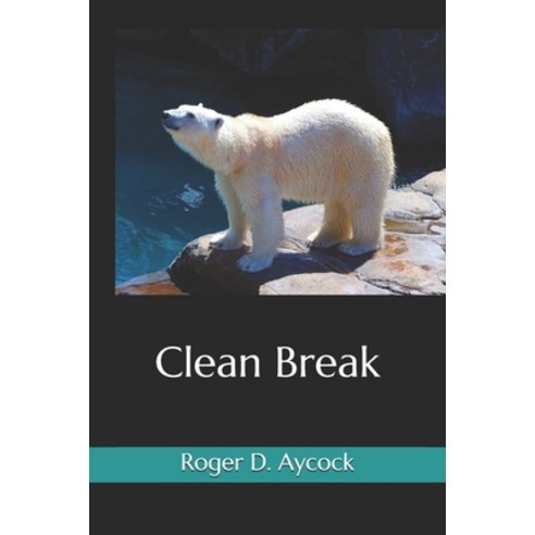 Clean Break(Illustrated) Paperback, Independently Published, English, 9798693921979