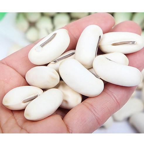 작두콩의 놀라운 변신, 에스빈커피로 건강과 풍미를 한 번에!