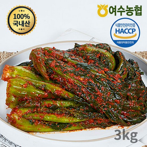 여수농협 여수돌산 갓김치 3kg(국내산100%), 단품