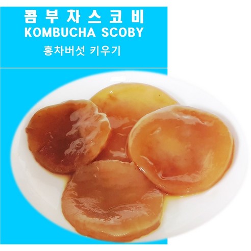 콤부차 스코비(못난이) KOMBUCHA SCOBY +추가원액 300ml, 못난이스코비1개+콤부차300ml(기본)