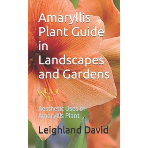 (영문도서) Amaryllis Plant Guide in Landscapes and Gardens: Aesthetic Uses of Amaryllis Plant Paperback, Independently Published, English, 9798397299534