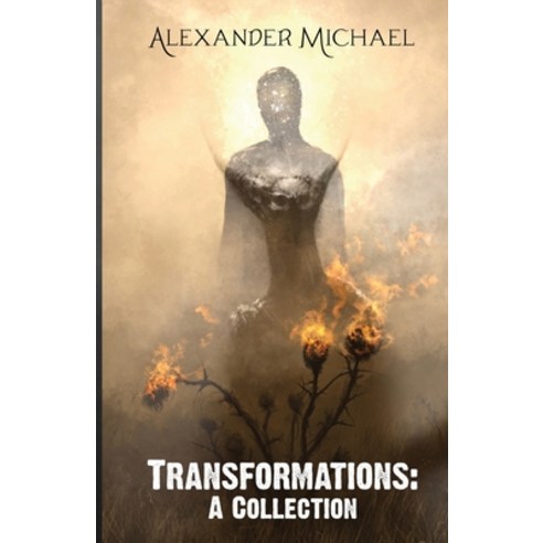 (영문도서) Transformations: A Collection Paperback, Alexander Michael Tetis, English, 9780648978701
