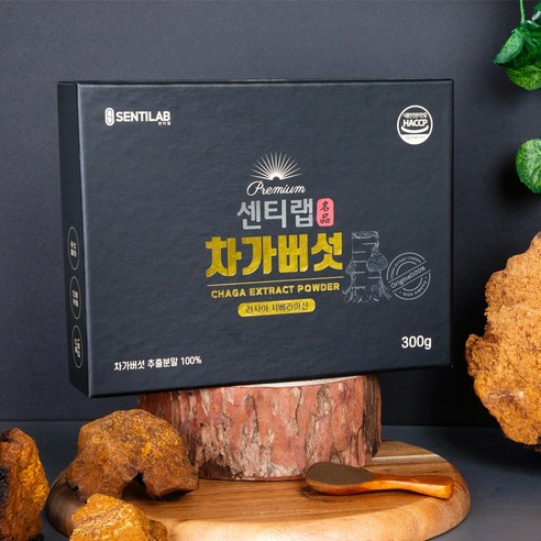 깊은 숲의 생명력, 센티랩 러시아산 차가버섯 추출 분말로 건강을 채우세요.