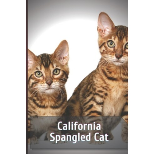 (영문도서) California Spangled Cat Paperback, Independently Published, English, 9798513364115