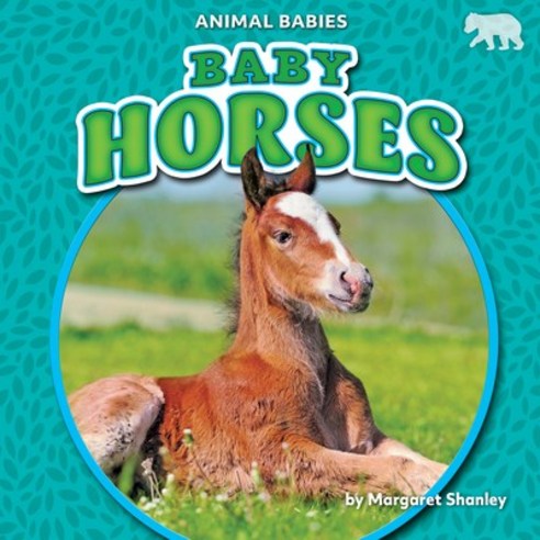 Baby Horses Library Binding, Bearcub Books