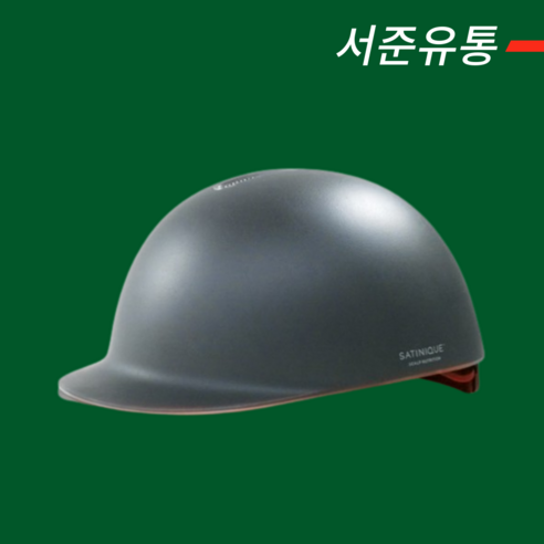 [한국암웨이 공식 홈페이지 주문 제품] 암웨이 새티니크 스캘프 뉴트리션 레이저 L400