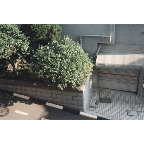 OOA400 컬러필름으로 순간의 감성을 담아보세요