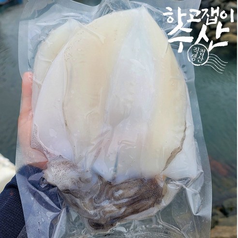 하고잽이수산 통영 제철 자연산 급냉 무늬오징어 한치, 한치 손질, 1개