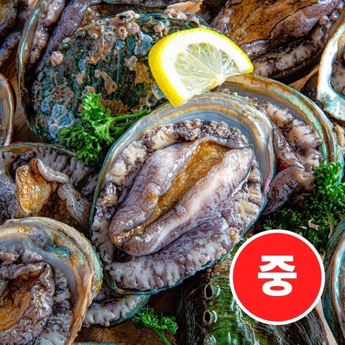 완도 특산물 활전복 1kg 중-대사이즈 (30 - 15미) 크기선택, 활전복 1kg(14-15미내외), 1개