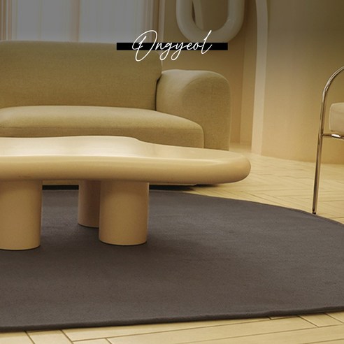 생활 방수 & 워셔블 기능으로 사계절 내내 쾌적한 온결 러그