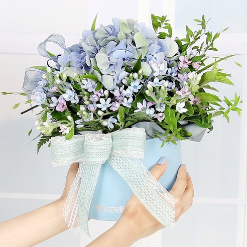푸른하늘의 매력에 빠져드세요: 99플라워의 당일수령 푸른하늘 꽃상자
