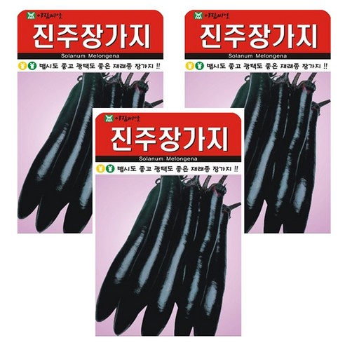 진주장가지 가지 씨앗 3봉 조선가지 장가지 야채, 1개