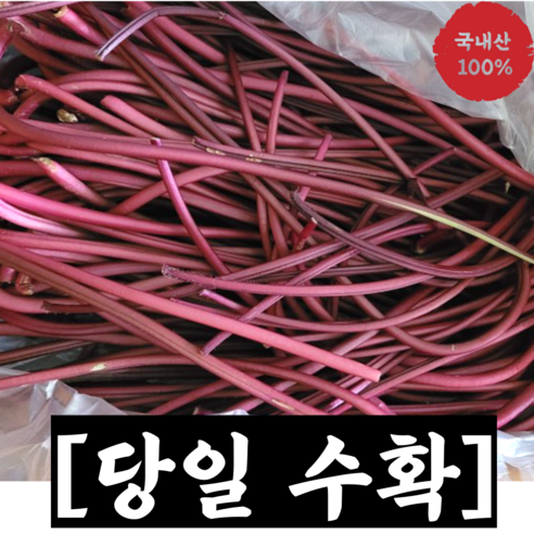 국내산 고구마순 잎제거 1kg 고구마순줄기 고구마줄기 고구마 줄기 나물 생나물 볶음용 고구마 순 고구마순400g, 1개, 400g