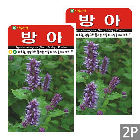 세인화분 방아 1000립 - 국산 배초향 곽향 씨 씨앗, 2개