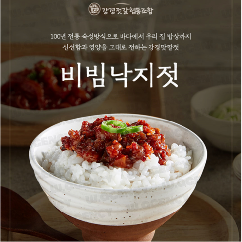 강경 영진젓갈식품 웰빙낙지젓 비빔낙지, 800g, 1개