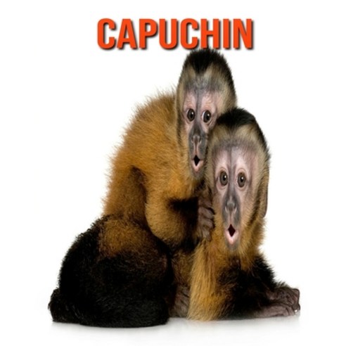 Capuchin: Amazing Facts about Capuchin Paperback, Independently Published, English, 9798695292176