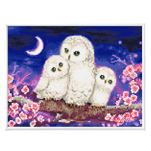 블링블링 보석십자수 슬림액자패키지 (AB+원형) 30x40cm, 1세트, BL3040-001 (달빛부엉이)
