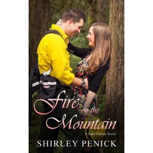 Fire on the Mountain: A Lake Chelan Novel Paperback, Createspace Independent Pub..., English, 9781717546869