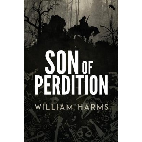 (영문도서) Son of Perdition Paperback, Leviathan Books, English, 9780692184561