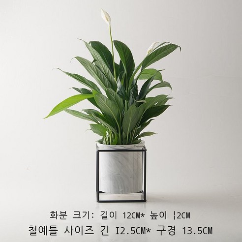 창의적 대리석 무늬 도자기 벽걸이 화분 탁자 베란다 심플하다 파인애플 다육식물 말뚝 분재 화기, 블랙 프레임 블랙 대리석 무늬
