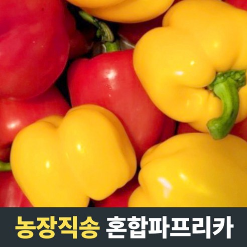 [농장직송] 국산 혼합파프리카 1.5kg 3kg 5kg 빨강노랑혼합 혼합야채 미니파프리카 가정용 업소용 파프리카 피망 피망파프리카 못난이파프리카 비타민채소 야채 파프리카5kg, 1개, 1.5kg(혼합)
