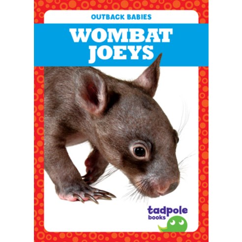 (영문도서) Wombat Joeys Paperback, Tadpole Books, English, 9781645279532