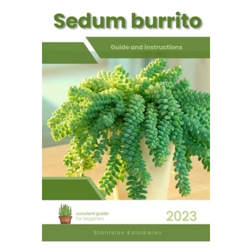(영문도서) Sedum burrito: Succulent Handbook: Complete Guide to Growing Succulent Plant Paperback, Independently Published, English, 9798853086562