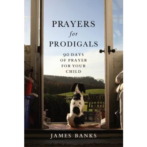(영문도서) Prayers for Prodigals: 90 Days of Prayer for Your Child Paperback, Our Daily Bread Publishing, English, 9781572934528