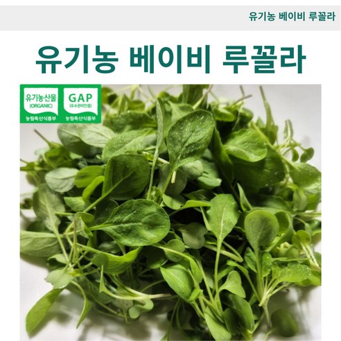 [바오농장] 산지직송 유기농 어린잎루꼴라 베이비루꼴라 샐러드 채소, 100g, 4개