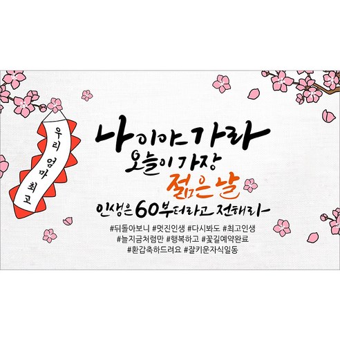 해피파티 어머니 환갑현수막 9종, 6.나이야가라엄마환갑
