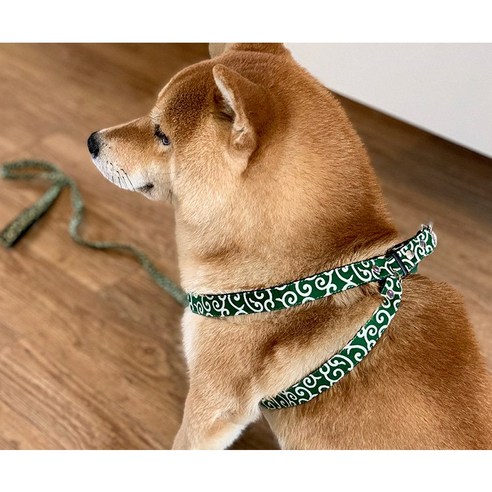 강아지 가슴줄 중소형견 하네스 시바견 산책줄 앞섬방지 반려견용품, 그린