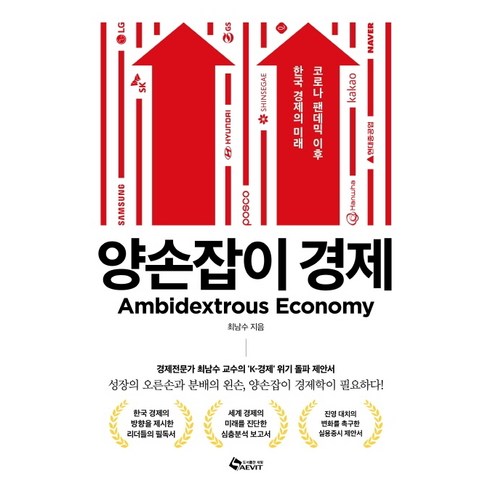 양손잡이 경제:코로나 팬데믹 이후 한국 경제의 미래, 새빛, 최남수