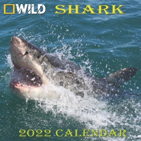 Shark Calendar 2022: SHARK calendar 2022 "8.5x8.5" Inch 16 Months JAN 2022 TO APR 2023 finished and ... Paperback, Independently Published, English, 9798745842146
