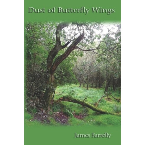 Dust of Butterfly Wings: A Collection of Poetry and Song Paperback, Independently Published, English, 9781797973012